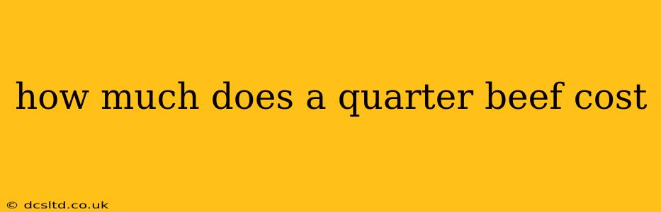 how much does a quarter beef cost