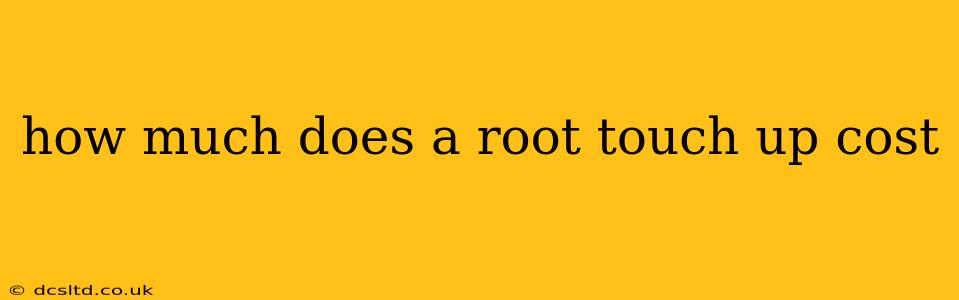 how much does a root touch up cost