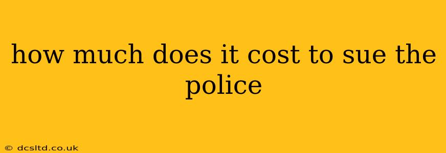 how much does it cost to sue the police