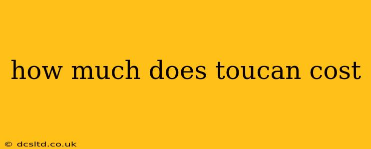 how much does toucan cost