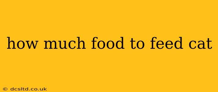 how much food to feed cat