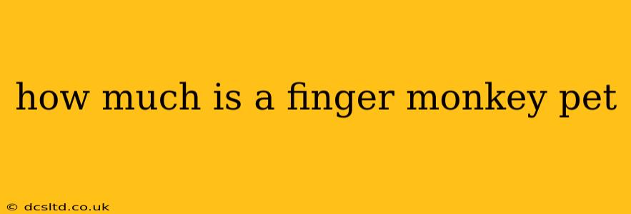 how much is a finger monkey pet