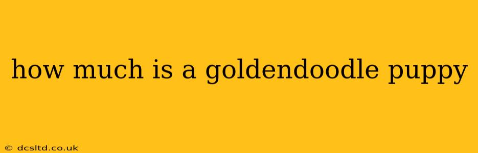 how much is a goldendoodle puppy