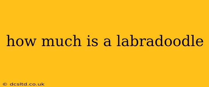 how much is a labradoodle
