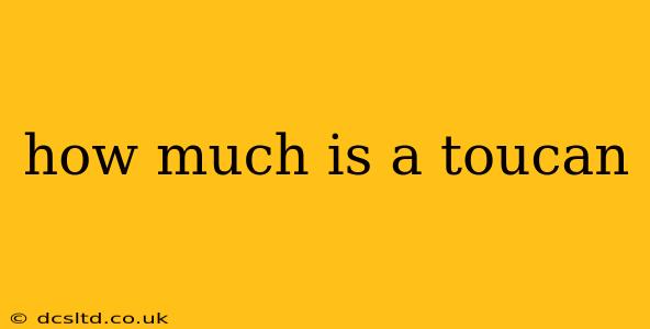 how much is a toucan