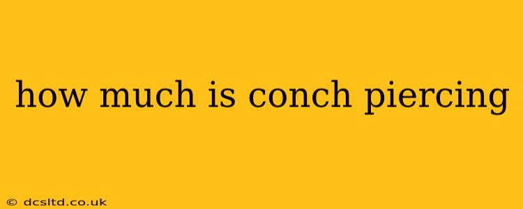 how much is conch piercing