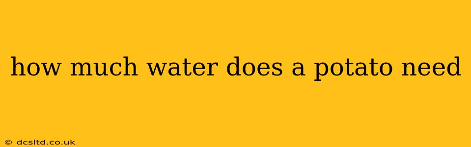 how much water does a potato need
