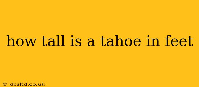how tall is a tahoe in feet