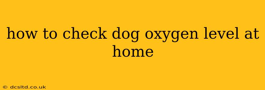 how to check dog oxygen level at home