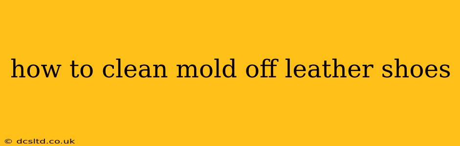 how to clean mold off leather shoes