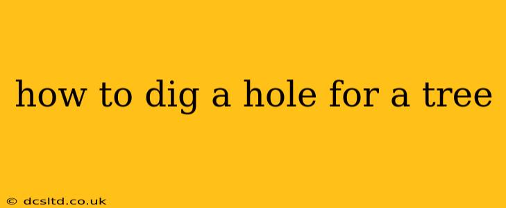 how to dig a hole for a tree