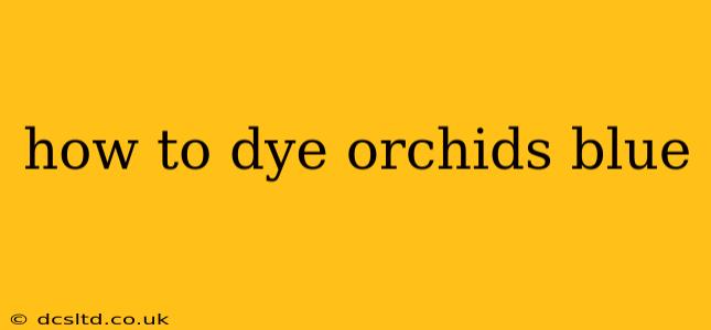 how to dye orchids blue