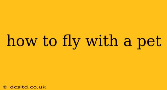 how to fly with a pet