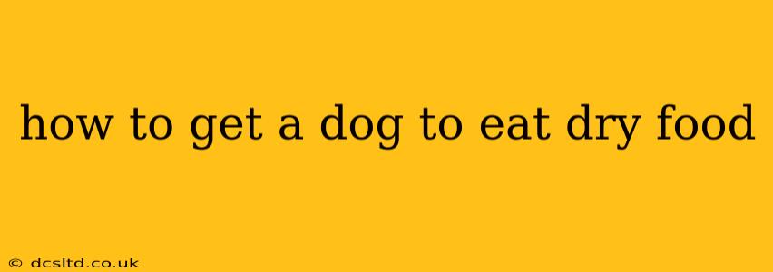 how to get a dog to eat dry food
