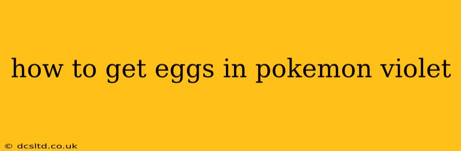 how to get eggs in pokemon violet