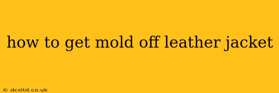 how to get mold off leather jacket