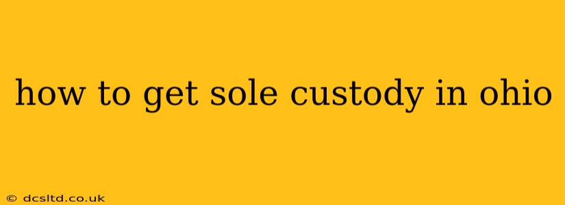 how to get sole custody in ohio