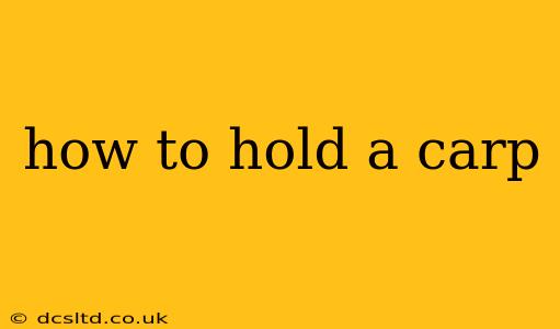 how to hold a carp