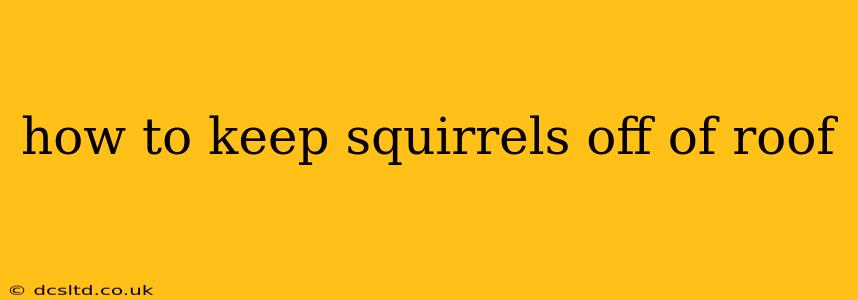 how to keep squirrels off of roof