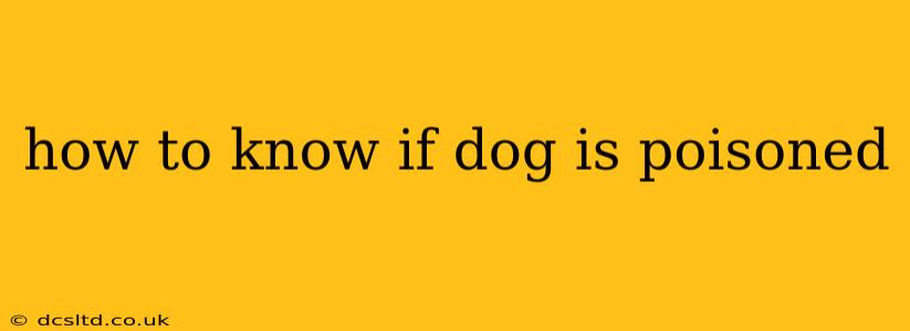 how to know if dog is poisoned