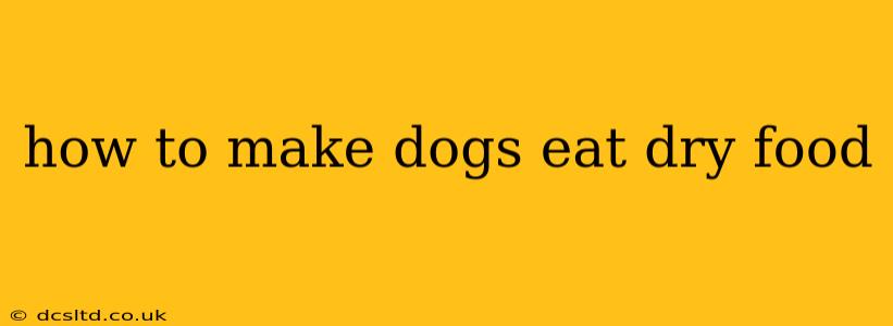 how to make dogs eat dry food