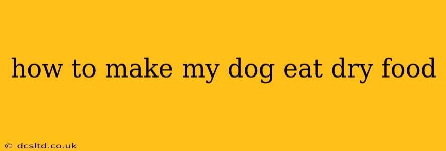 how to make my dog eat dry food