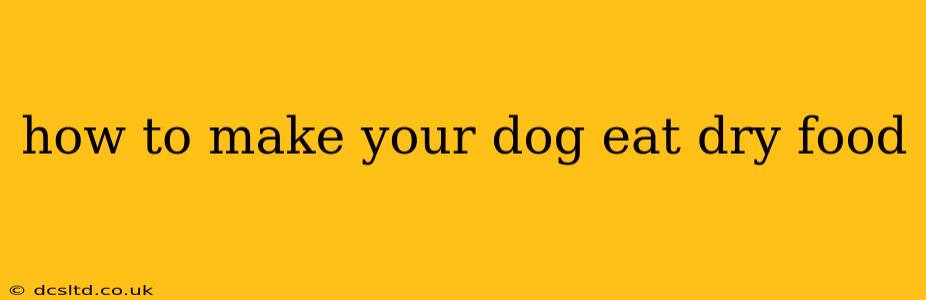 how to make your dog eat dry food