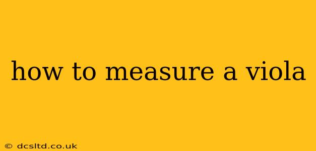 how to measure a viola