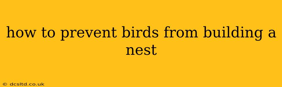 how to prevent birds from building a nest