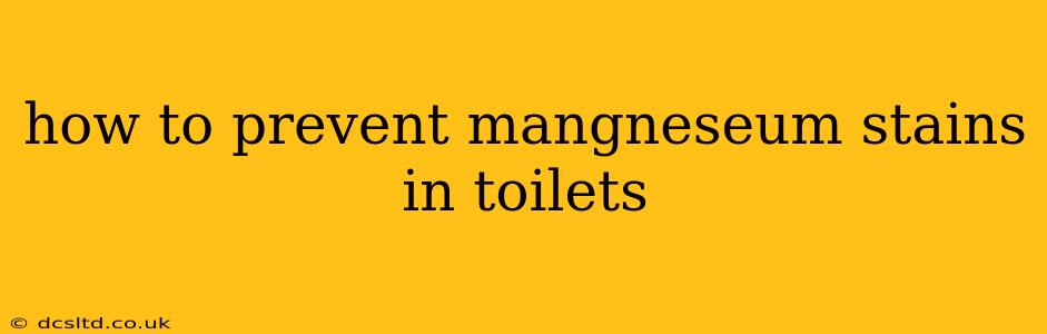 how to prevent mangneseum stains in toilets