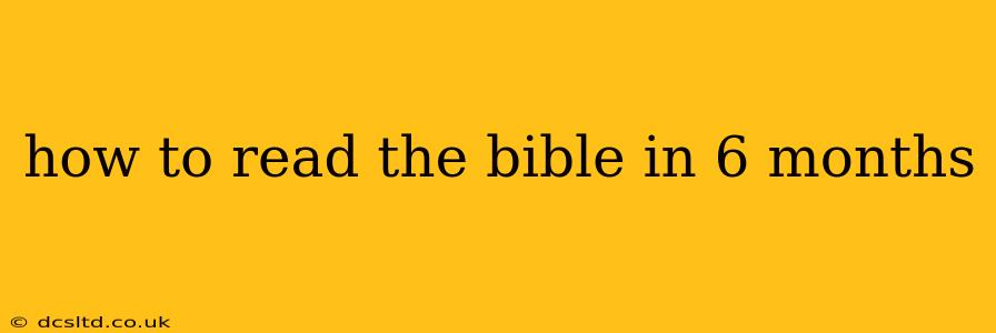 how to read the bible in 6 months