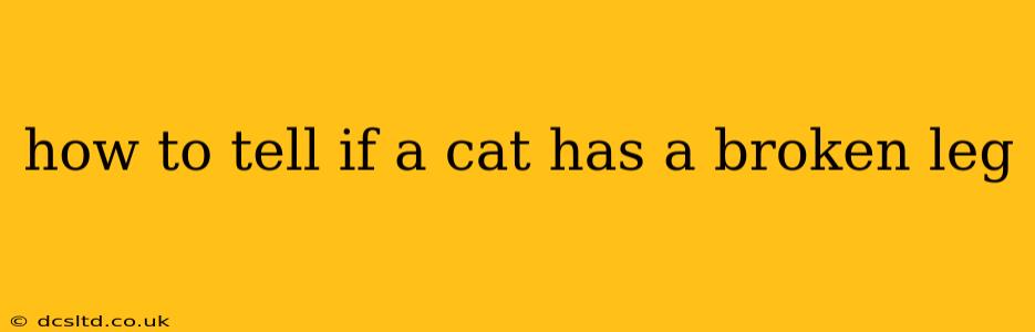 how to tell if a cat has a broken leg