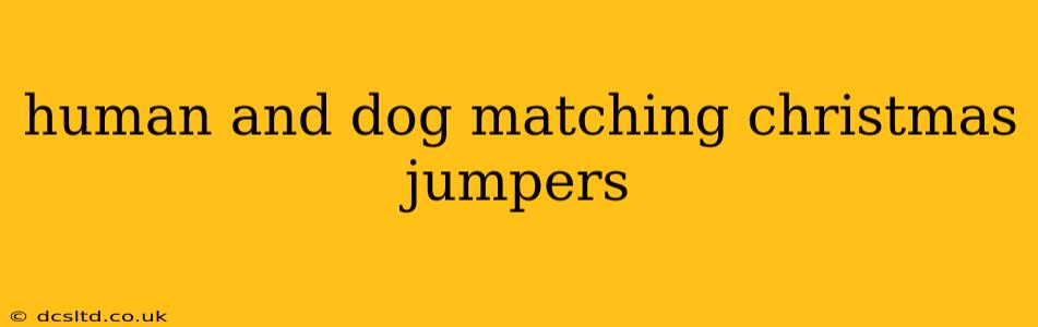 human and dog matching christmas jumpers