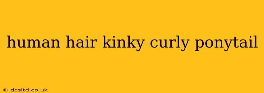human hair kinky curly ponytail