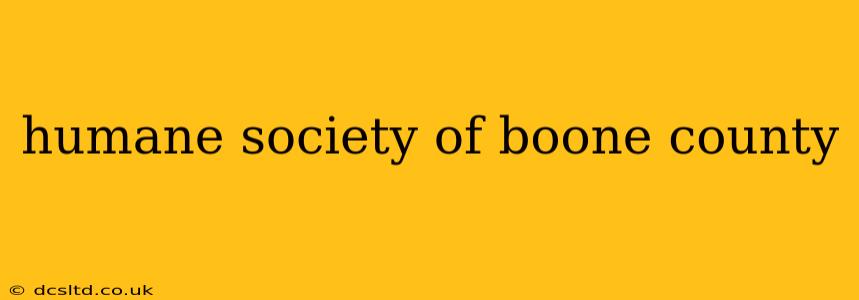 humane society of boone county