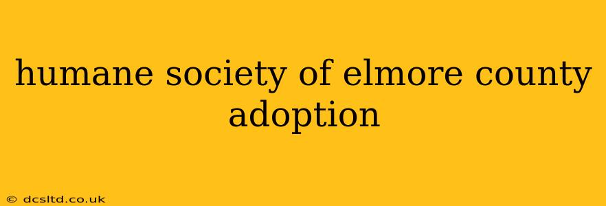humane society of elmore county adoption