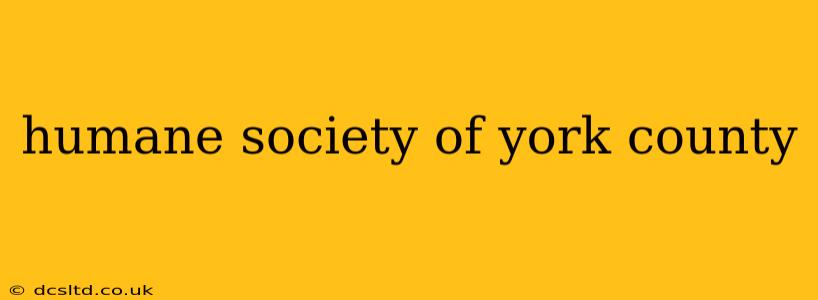 humane society of york county