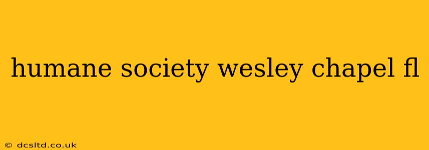 humane society wesley chapel fl