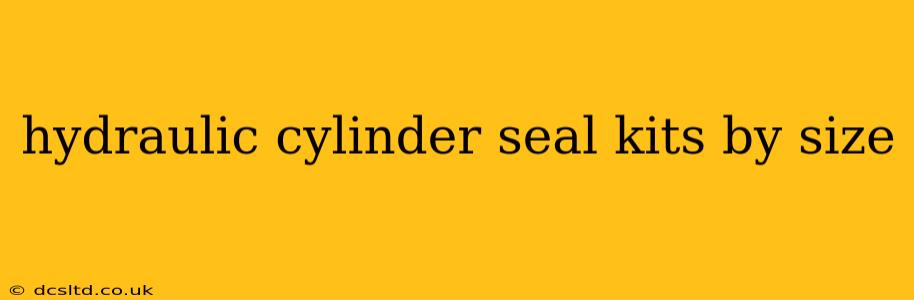 hydraulic cylinder seal kits by size