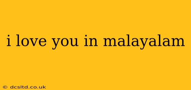 i love you in malayalam