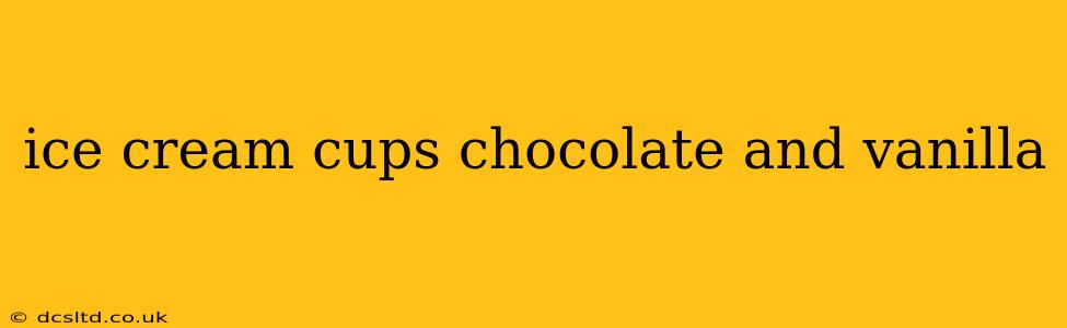 ice cream cups chocolate and vanilla