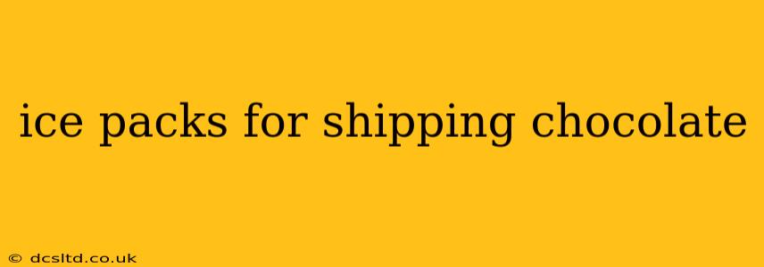 ice packs for shipping chocolate