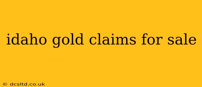 idaho gold claims for sale