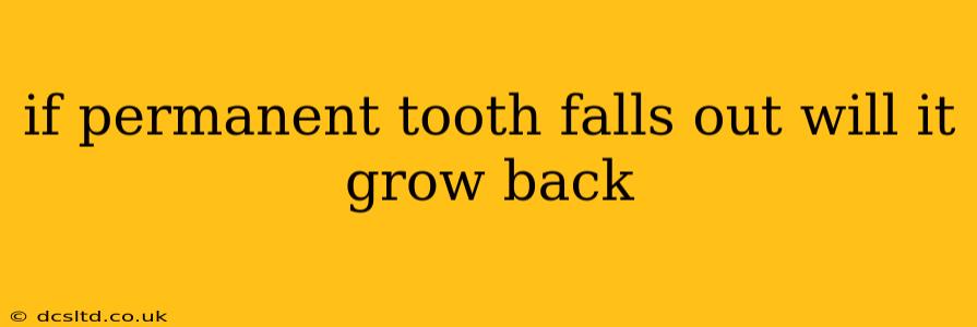 if permanent tooth falls out will it grow back