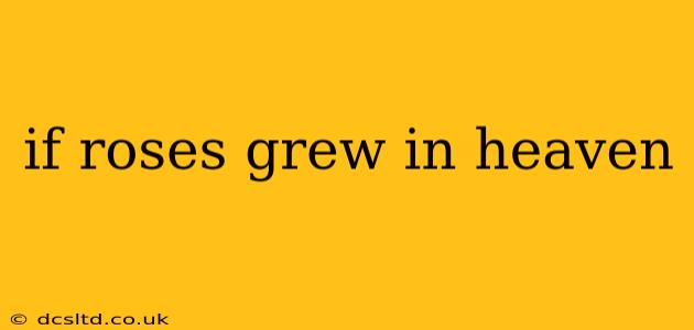 if roses grew in heaven