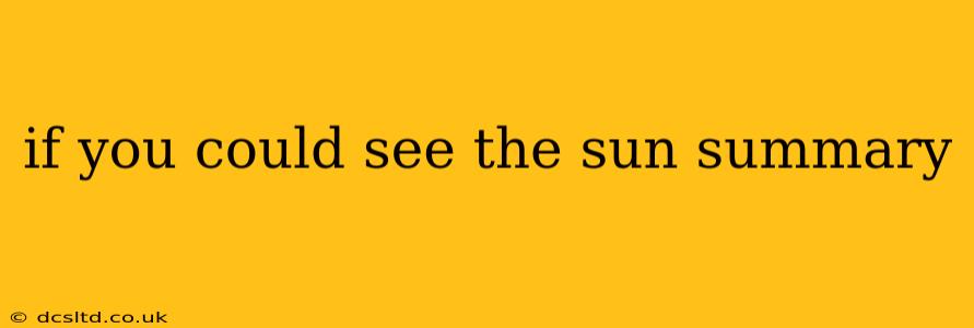 if you could see the sun summary