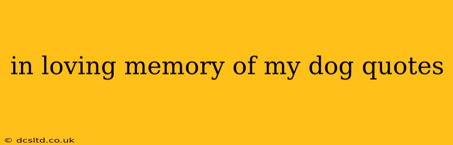 in loving memory of my dog quotes