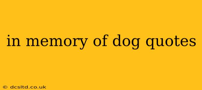 in memory of dog quotes