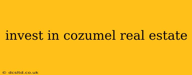 invest in cozumel real estate