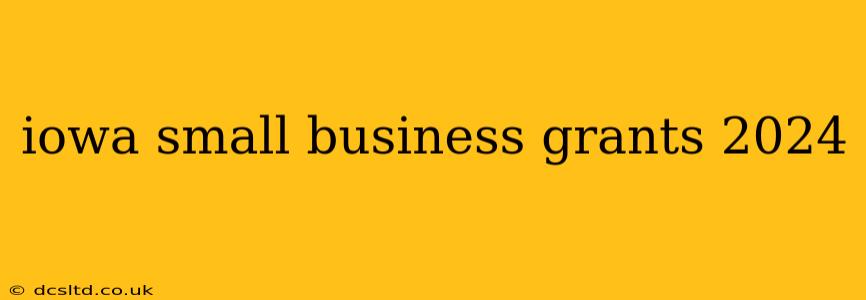 iowa small business grants 2024